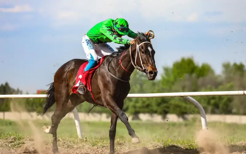 На классических скачках в Алматы среди зрителей разыграют электромобиль