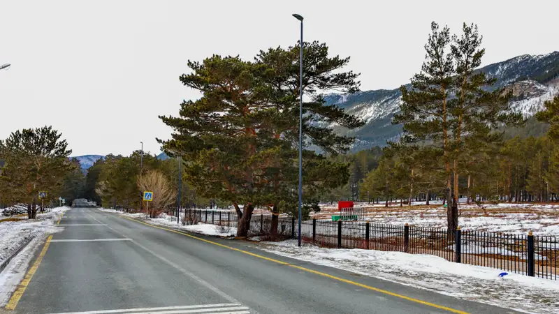 Боровое деревья лес природа Бурабай ағаштар орман табиғат