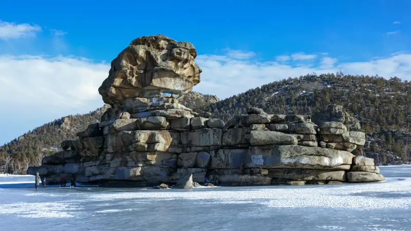 Жумбактас Боровое деревья лес природа Жұмбақтас Бурабай ағаштар орман табиғат