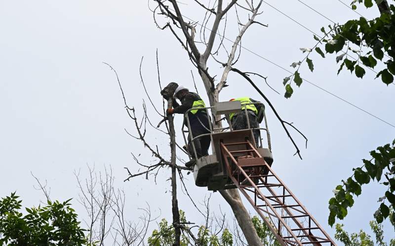 благоустройство 