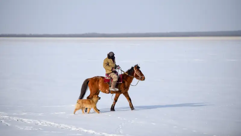 Охота зима Аңшылық қыс