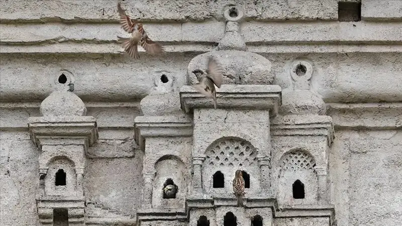 Ottoman bird palaces preserve their beauty for 5 centuries