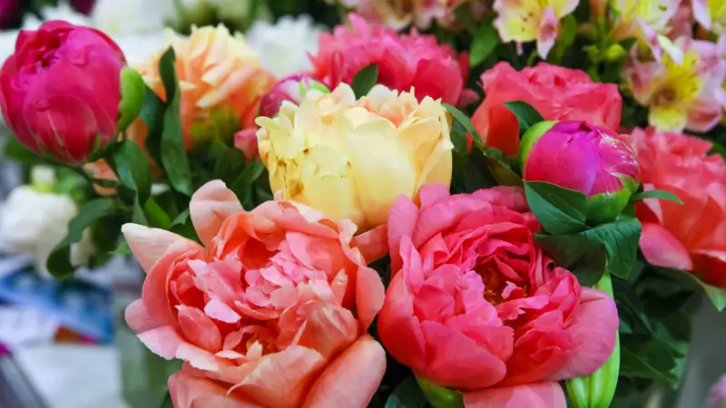 Цветы букет  розы Гүлдер букет раушан гүл