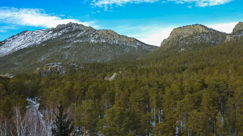 Окжетпес Боровое деревья лес природа Оқжетпес Бурабай ағаштар орман табиғат