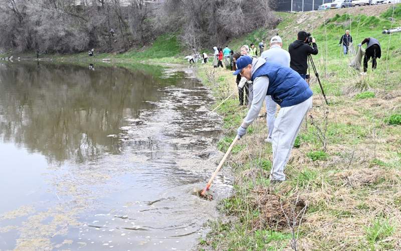 благоустройство 