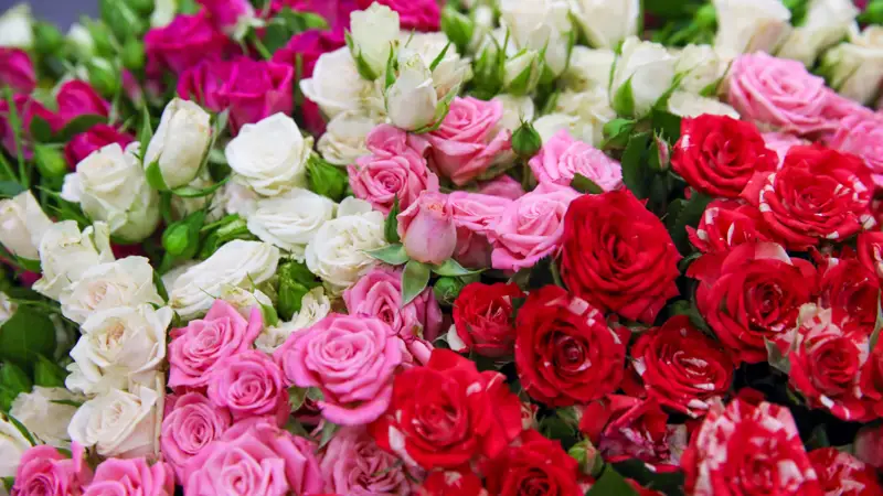 Цветы букет  розы Гүлдер букет раушан гүл