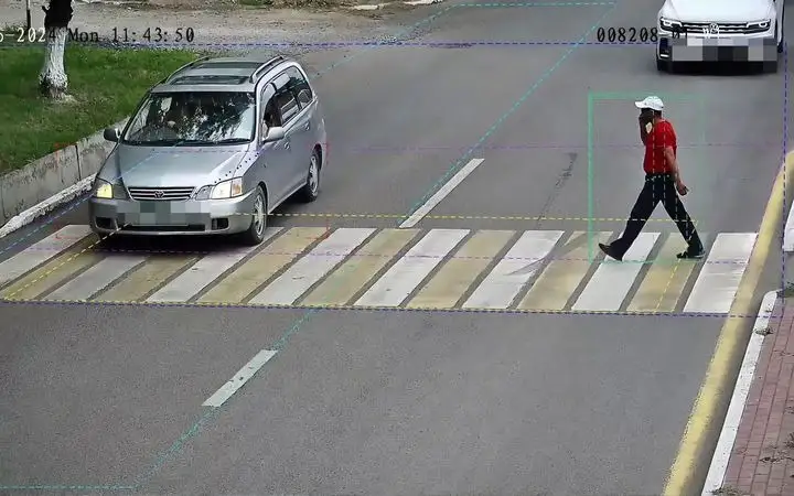 «зебра», дороги