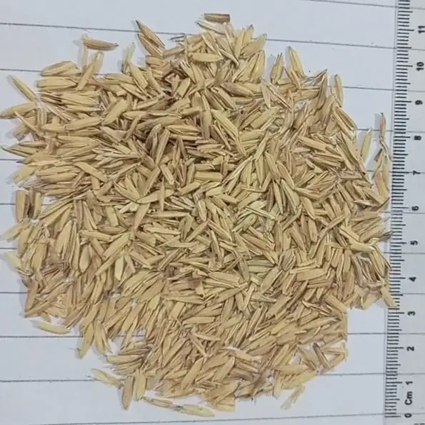 Research explores rice husk ash partially replacing cement in construction