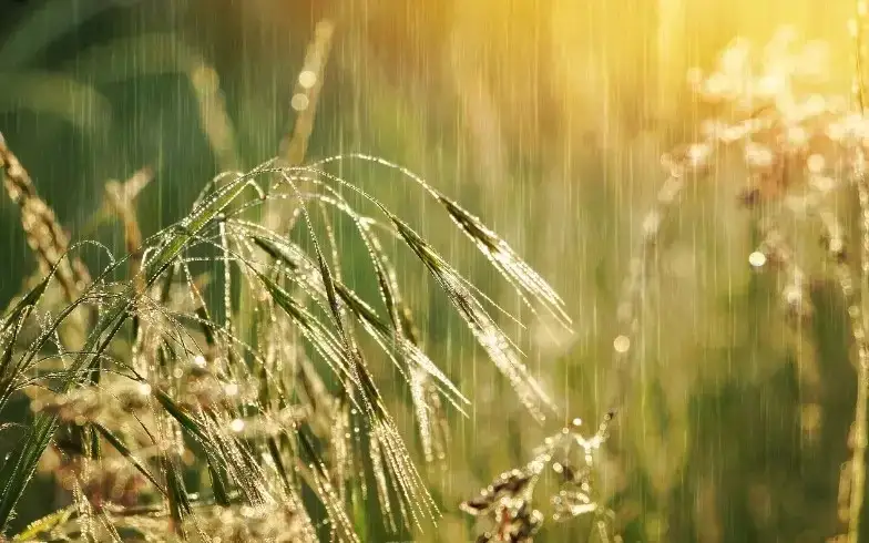 rainy weather 