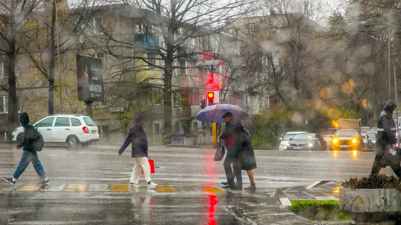 Дождь Жаңбыр