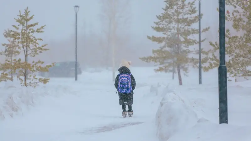  Буран зима боран қыс метель люди адамдар отмена занятий в школах мектептердегі сабақтарды тоқтату