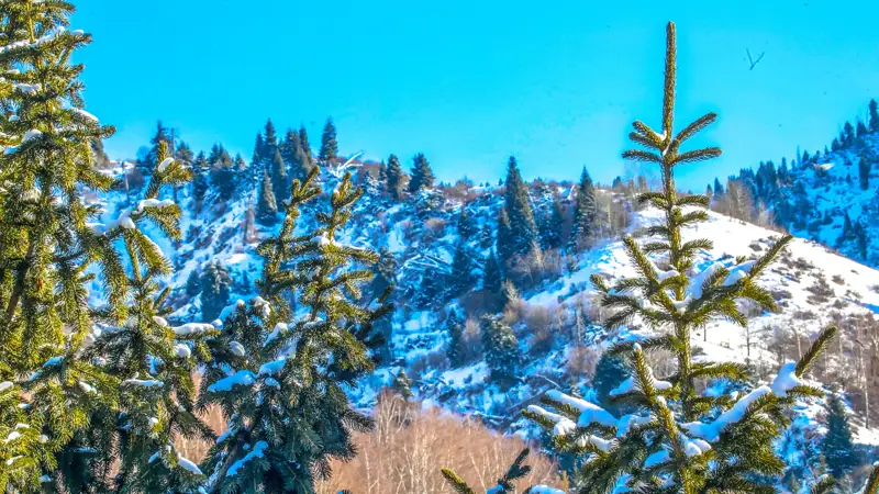 Горы таулар