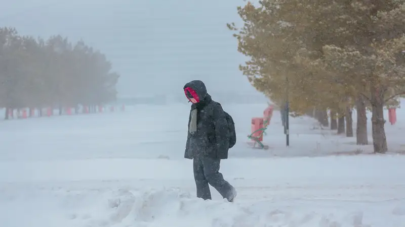   Отмена уроков, мороз, буран