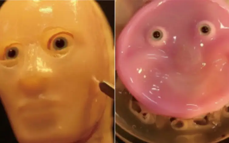 Scientists create robot face with lab-grown living skin in Japan