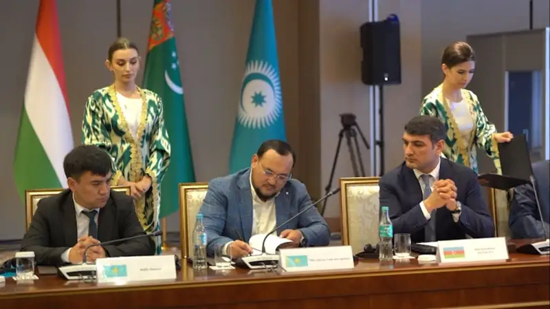 Түркі мемлекеттері ұйымы