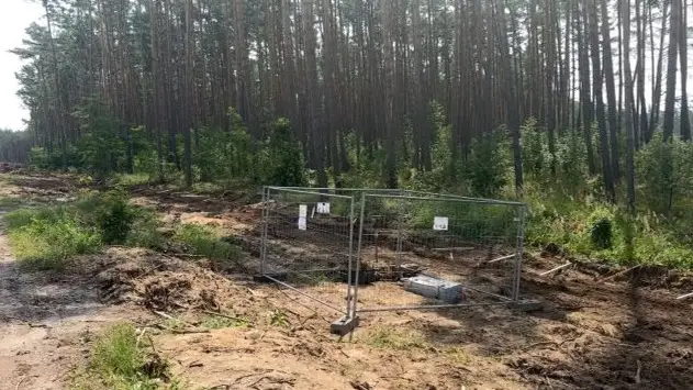 250-килограммовая бомба Второй мировой войны найдена рядом с заводом Tesla в Германии