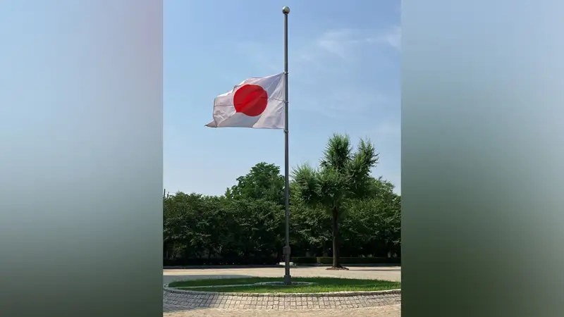 Жапония туы