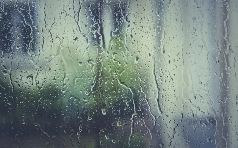 weather