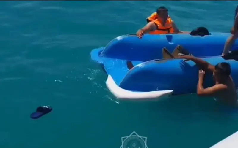 Пять человек спасли на озере Алаколь