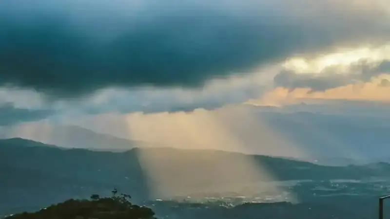 Búgin bir qalada aýa sapasy nasharlaıdy