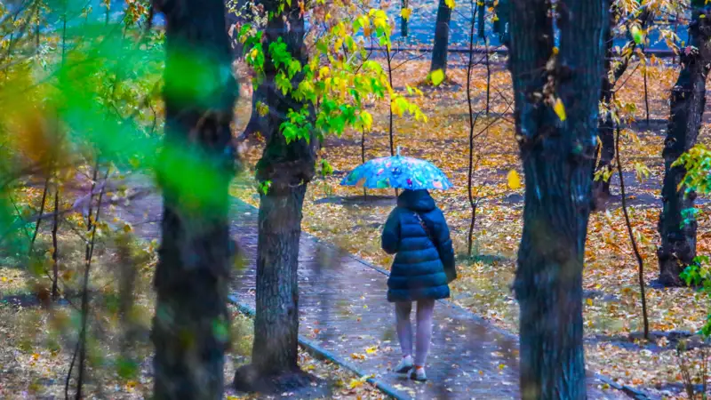 Осень листья Күз жапырақтар дождь жаңбыр