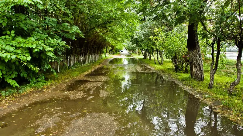 После дождя Жаңбырдан кейін