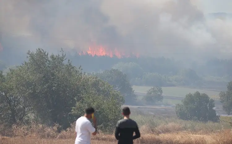 Лесные пожары в Турции охватили несколько регионов