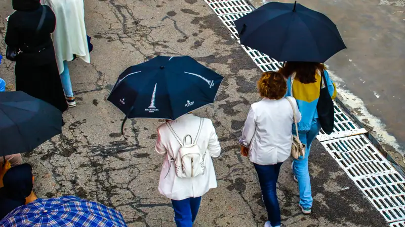 Осень листья Күз жапырақтар дождь жаңбыр