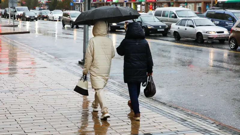 Осень листья Күз жапырақтар дождь жаңбыр
