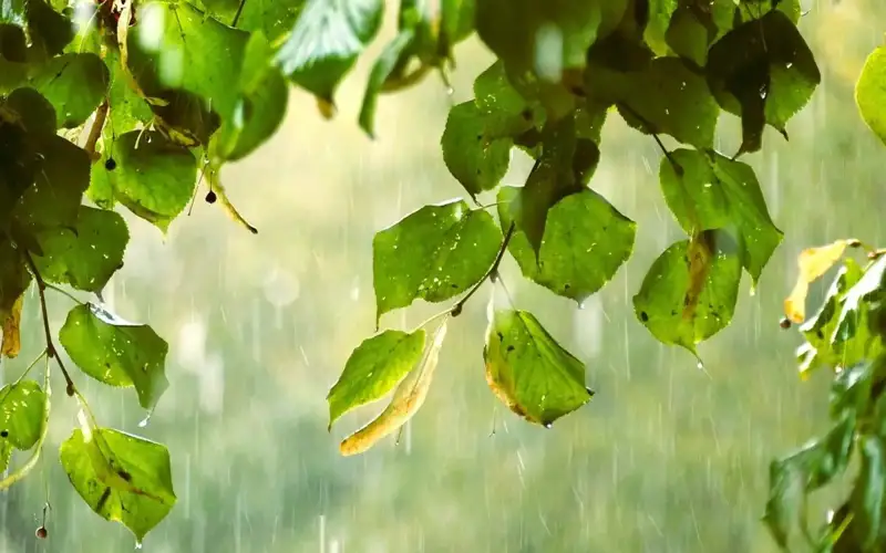 Аптап ыстық, нөсер жаңбыр: 2 шілдеге арналған ауа райы болжамы