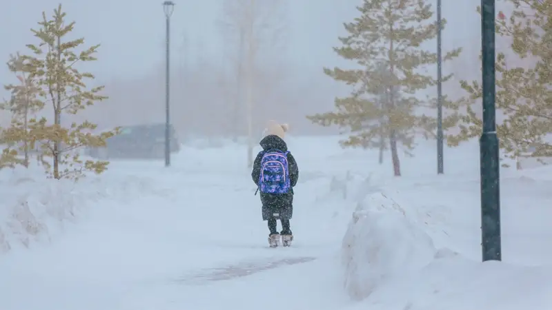 дети школьники метель зима балалар оқушылар буран қыс