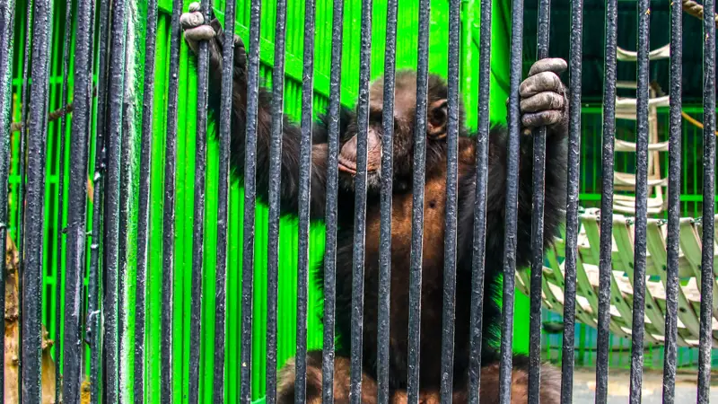 Алматы/хайуанаттар бағы