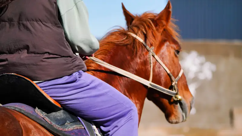 люди на лошадях ат үстіндегі адамдар