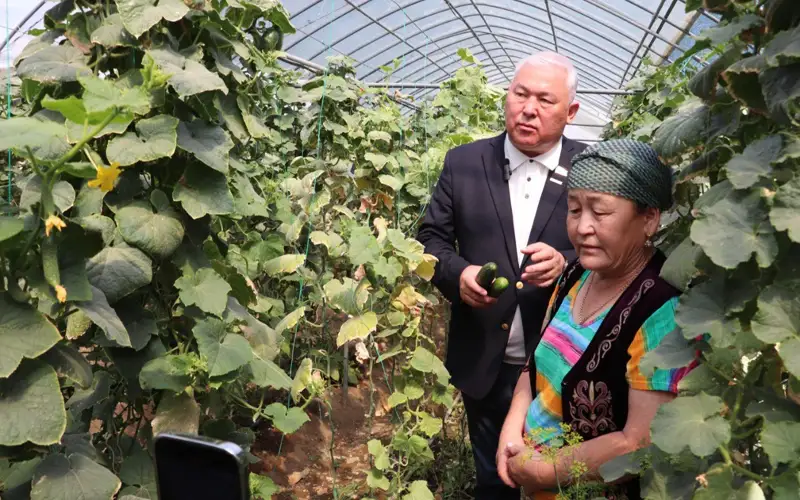 Льготный кредит под 2,5% годовых — как работает проект «Ауыл аманаты»