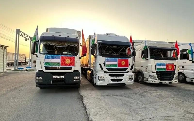 Қзбекстаннан гуманитарлық көмек