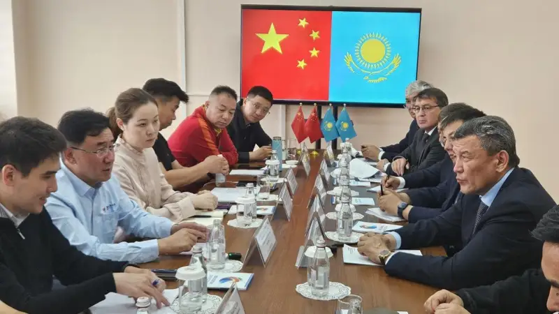 中方有意每年从哈萨克斯坦进口2万吨猪肉