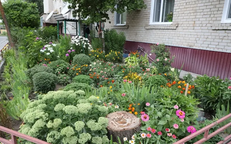 Талдықорған қаласының тұрғыны көпқабатты үйдің ауласын гүлденген баққа айналдырды