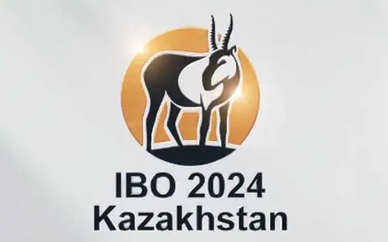 Халықаралық олимпиада