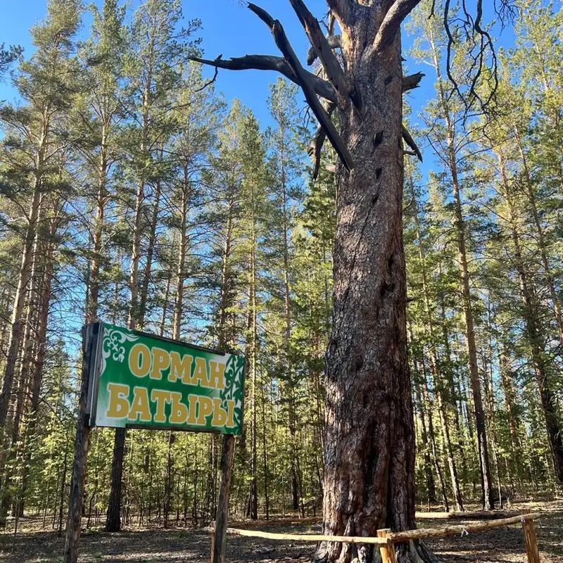 Орман батыры