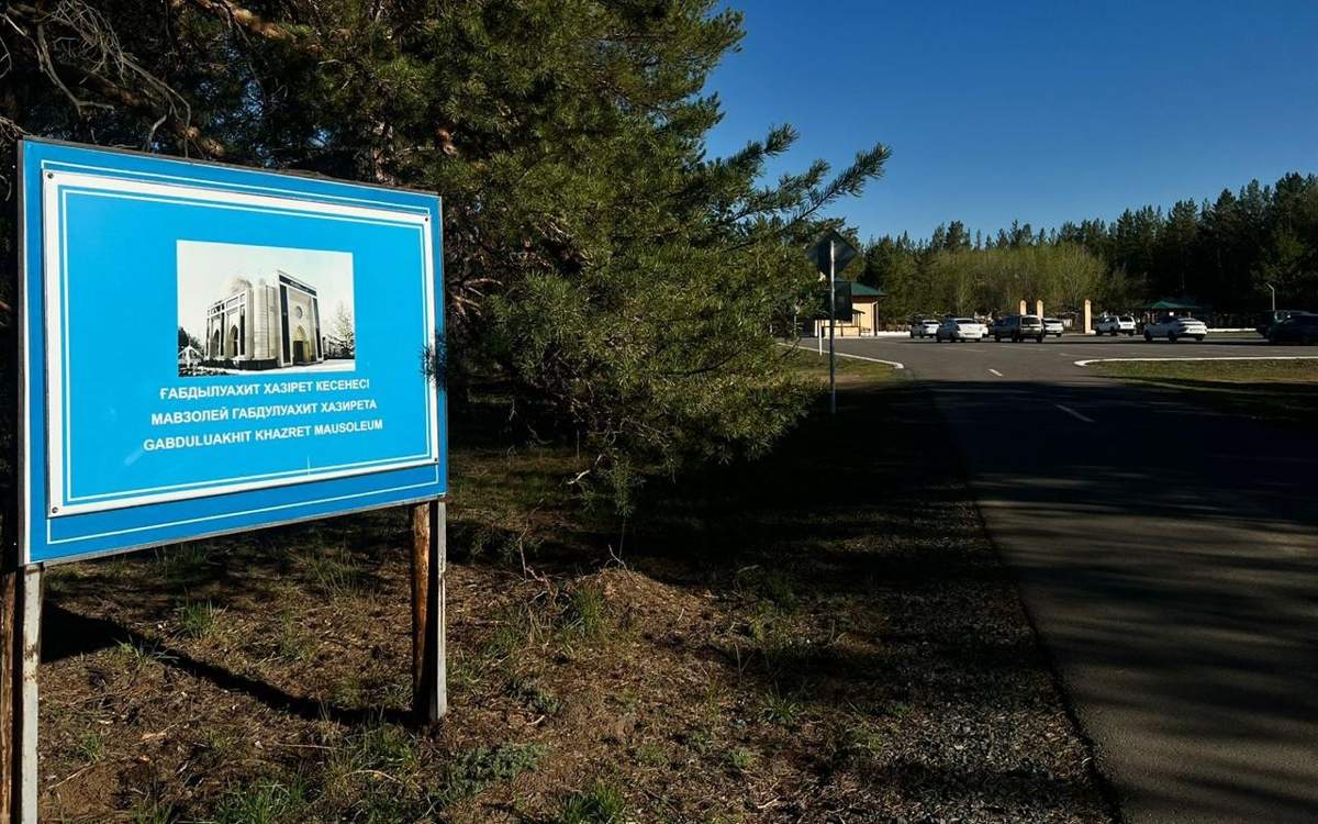 Орман шатырындағы қыз