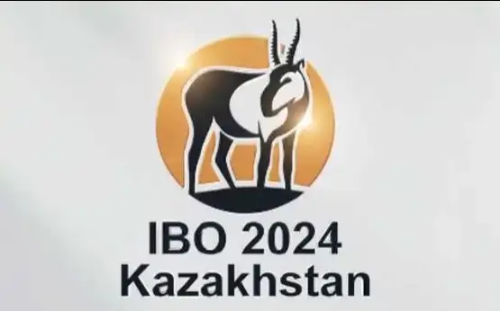 Халқаро олимпиада