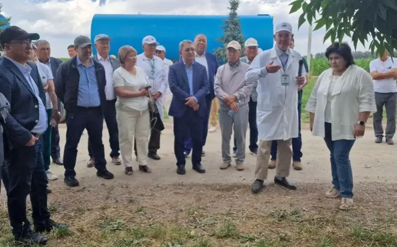 Селекционеры и семеноводы юга Казахстана объединились в консорциум