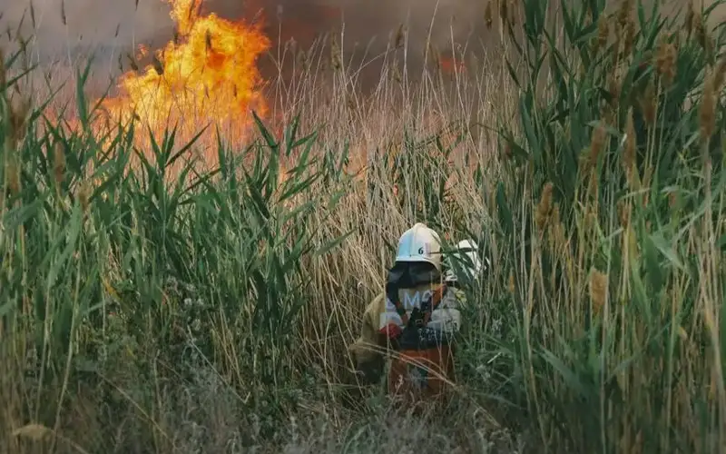 горит сухостой