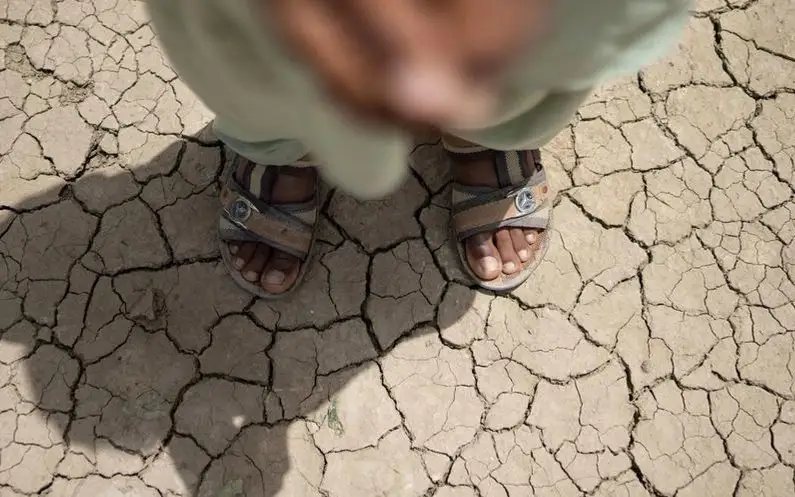 жара, погода