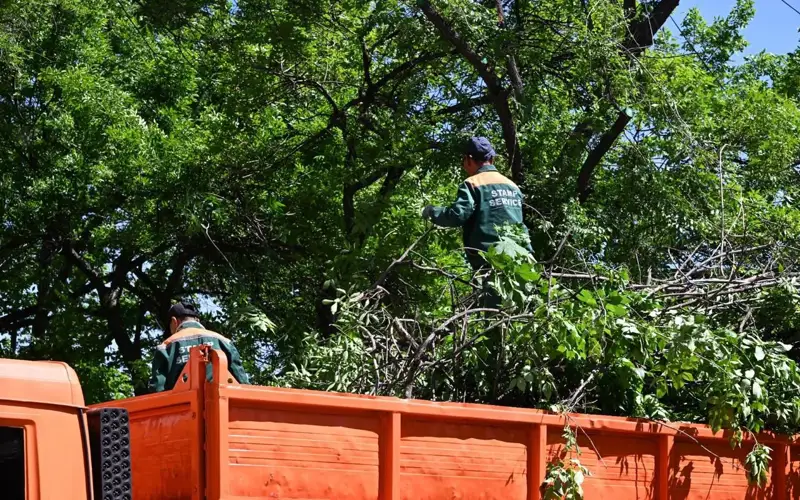 «Almaty Jazy» aktsııasy: 15 myń tonnadan astam qoqys shyǵaryldy