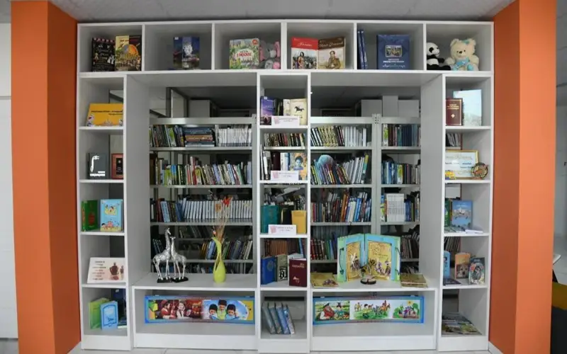 книги библиотека