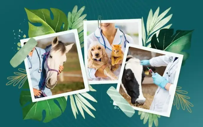 Ветеринария күні