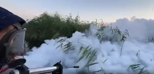 masa