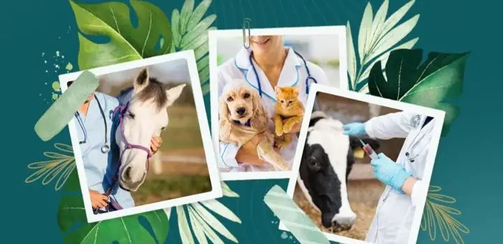 День ветеринарного работника