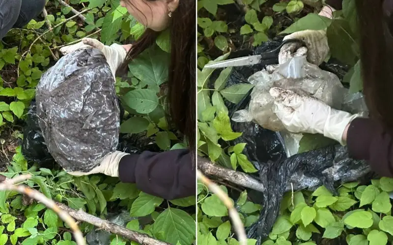 наркотики, синтетика